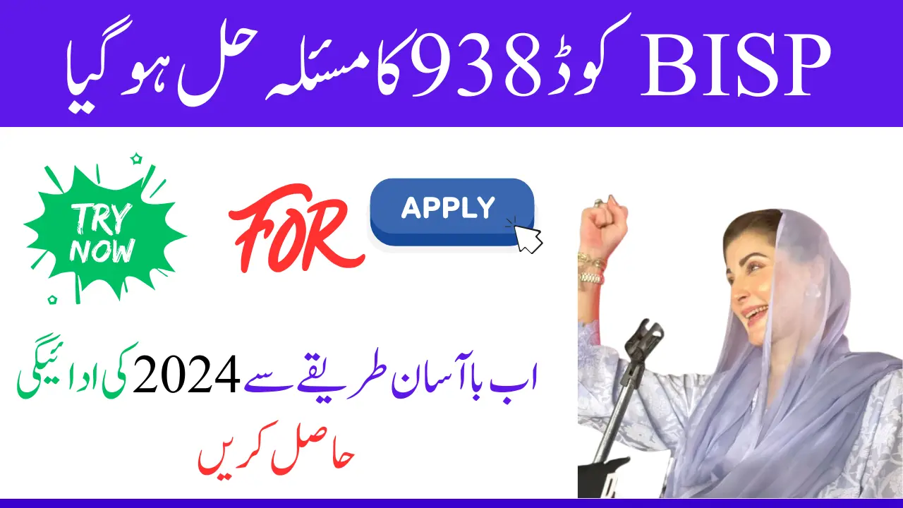 BISP 938 Code Problem Solved Get Payment By Easy proses 2024